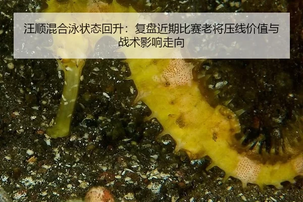 汪顺混合泳状态回升：复盘近期比赛老将压线价值与战术影响走向